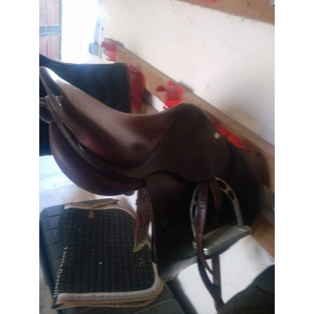 Selle cwd modèle s02 année