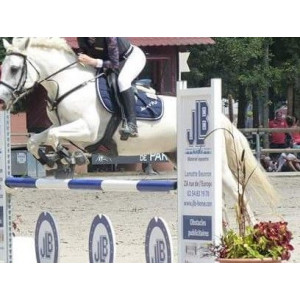 Tapis harcour chantilly