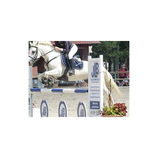 Tapis harcour chantilly