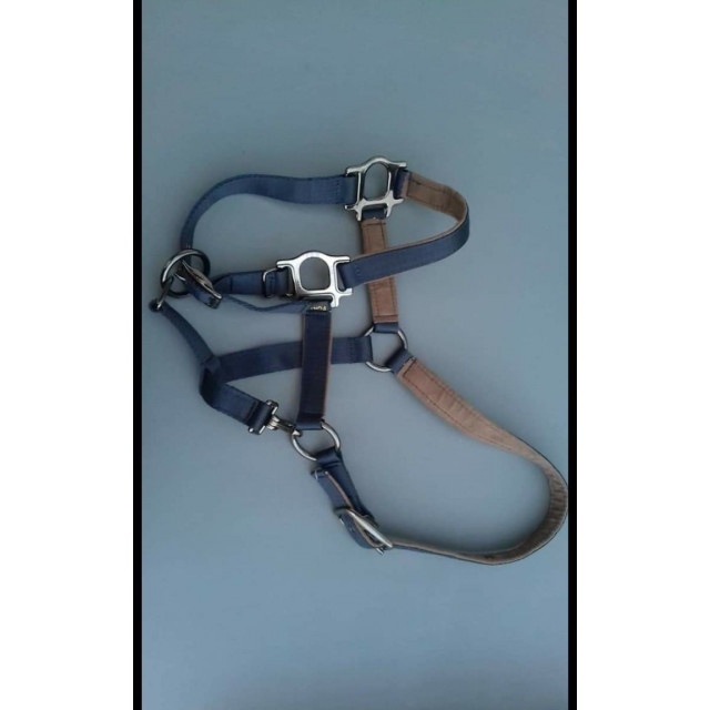 Licol+longe lami-cell NEUF