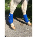 guetres dressage catago bleu roi taille cob postérieur