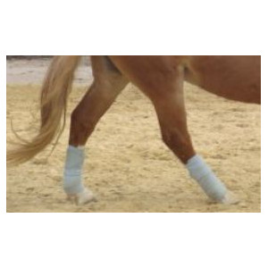 Bandes de polo Fouganza (poney)