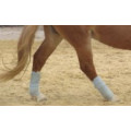 Bandes de polo Fouganza (poney)