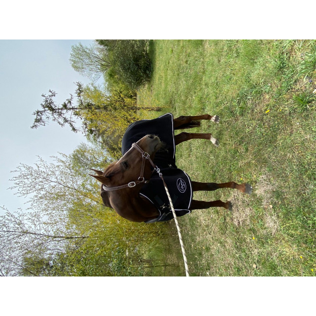 Couverture Double Polaire Thérapeutique 560g Noir-Blanc