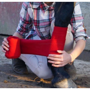 Bandes de travail rouges (cheval)