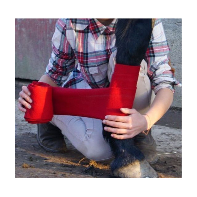 Bandes de travail rouges (cheval)