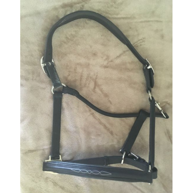 Licol doublé en cuir noir Norton (cheval)