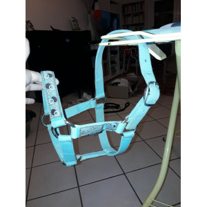 Licol Fouganza et longe Showmaster