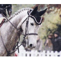 Bridon WEEK MONDAY Hervé Godignon