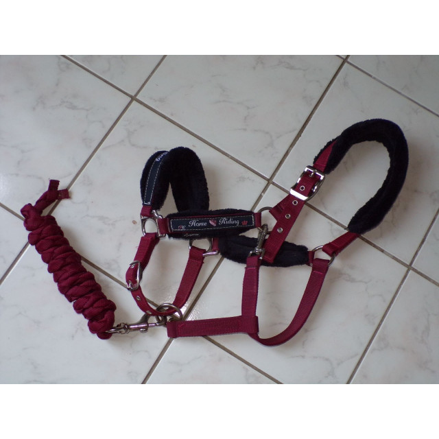 Licol bordeaux
