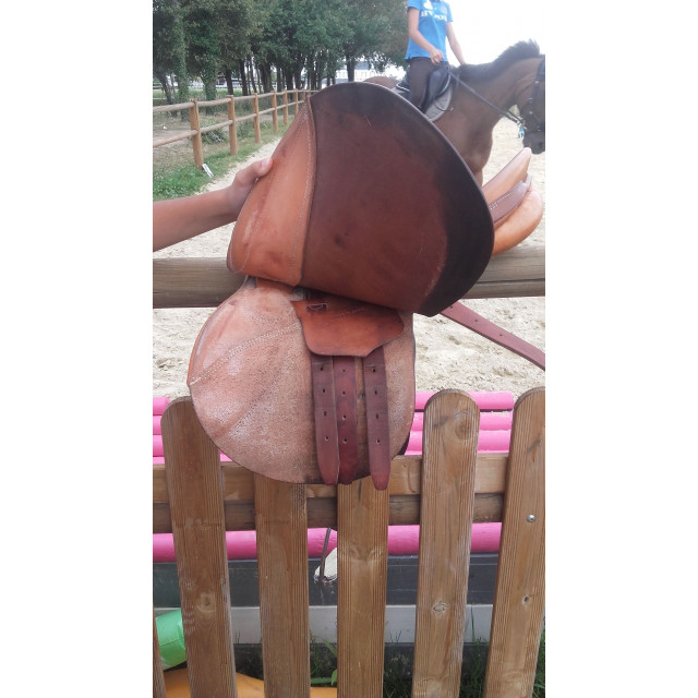 selle forestier mixte