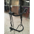 Bridon cheval Protanner