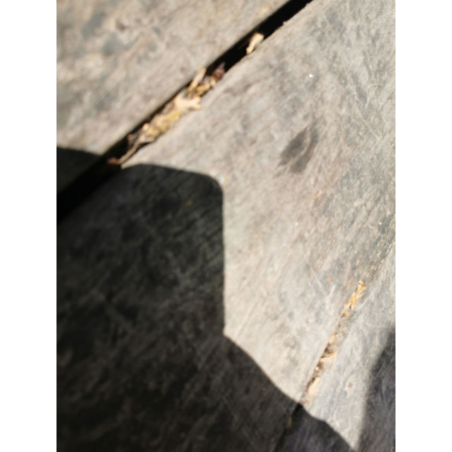 Amortisseur de dos EQUI-THÈME