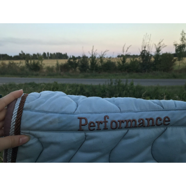 tapis performance bleu et marron