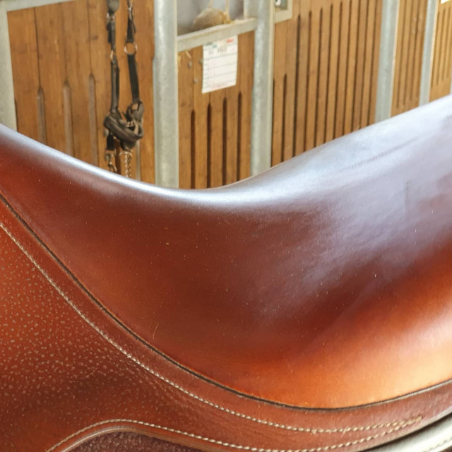 Selle enfant Antares