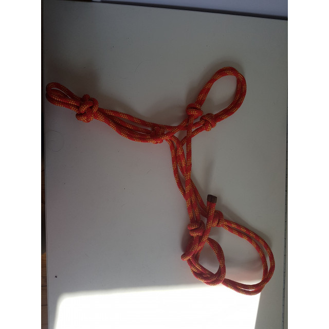 Licol éthologique rouge