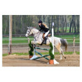 Selle mixte Euroriding T. 17"5