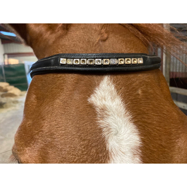 Bridon Waldhausen pull back