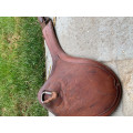 Sangle bavette antarés 125/130