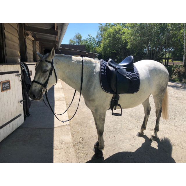 Selle dressage prestige