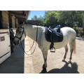 Selle dressage prestige