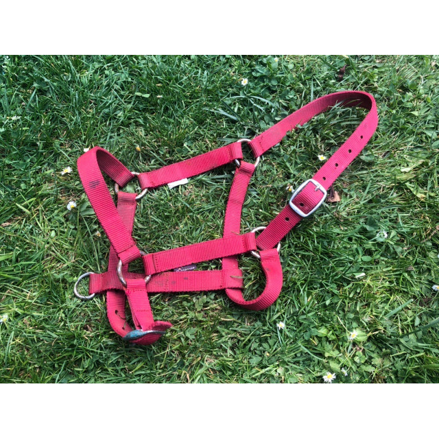 Licol fouganza simple