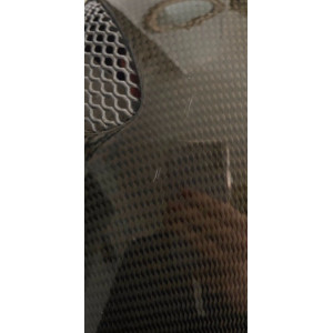 Gpa first lady carbone