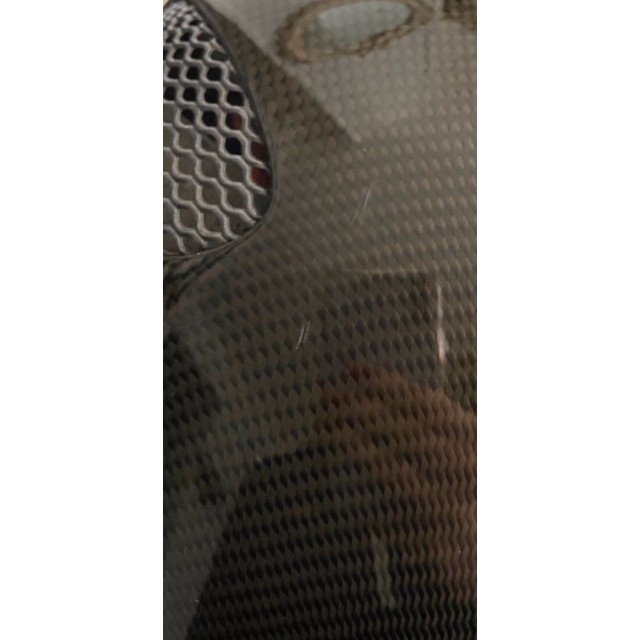 Gpa first lady carbone