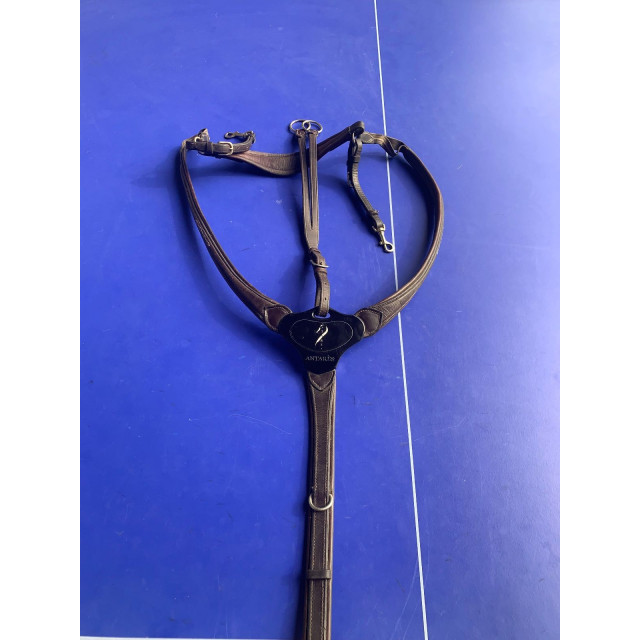 collier de chasse antarès