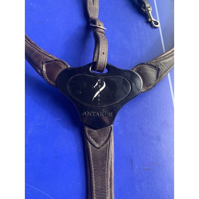 collier de chasse antarès