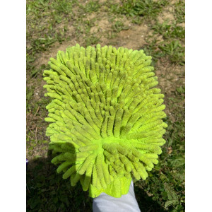 brosse poussiere