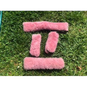 Lot moumoutes licol + rond de filet