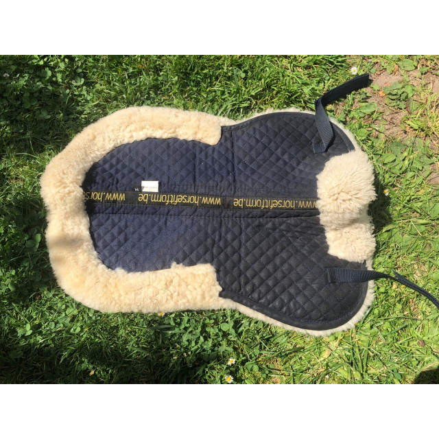 Amortisseur Horsefitform