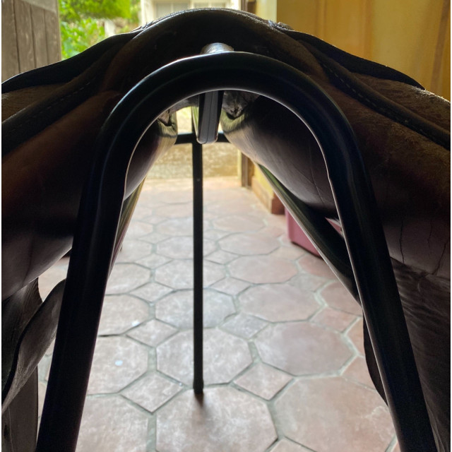 Selle d'obstacle Forestier