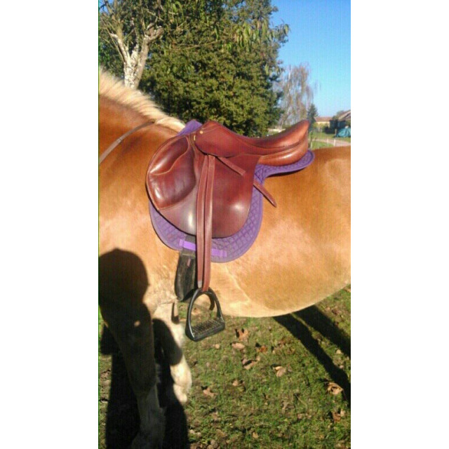 Selle Fleur de Lys, modèle Cavalia