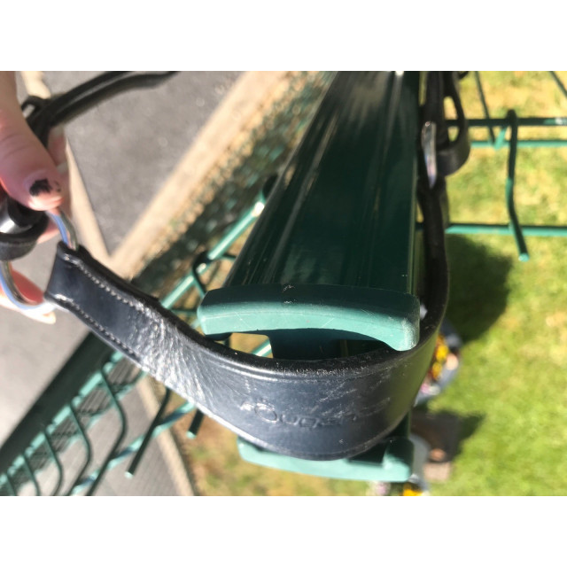 Collier de chasse + martingale