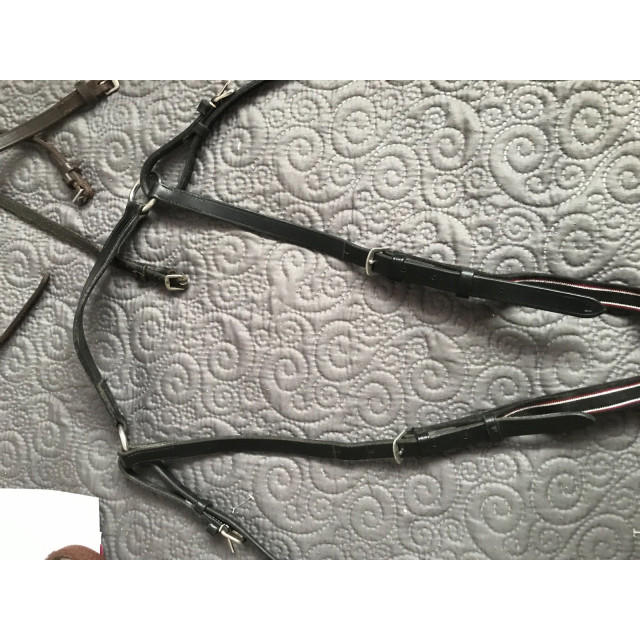 Collier de chasse + martingale