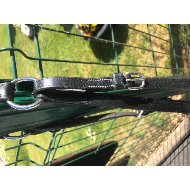 Collier de chasse + martingale