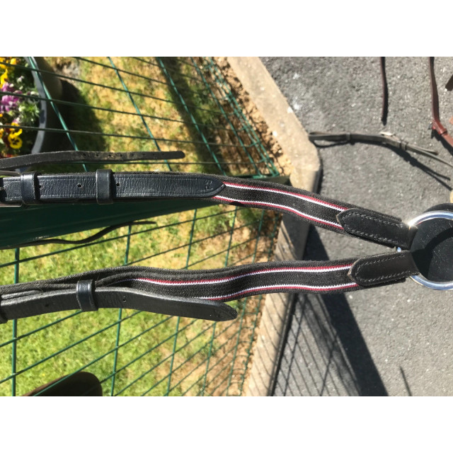 Collier de chasse + martingale