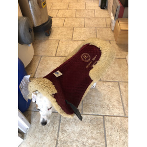 Amortisseur holscher sport