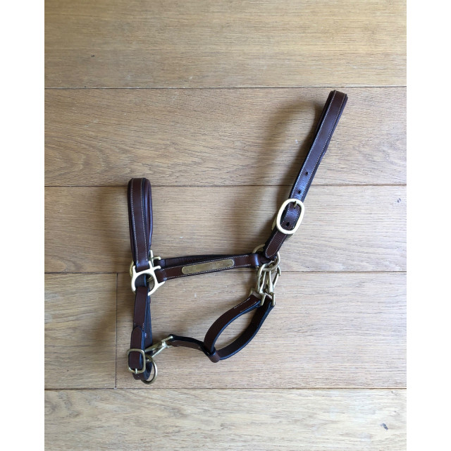 Licol en cuir marron Eric Thomas, taille poney, très peu utilisé et est en excellent état.