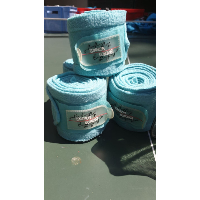 Bande de polo eskadron bleu ciel cheval