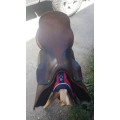 Selle fontainbleau