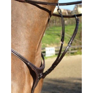 Collier de chasse élastique