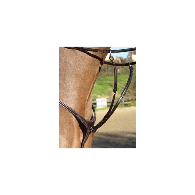 Collier de chasse élastique