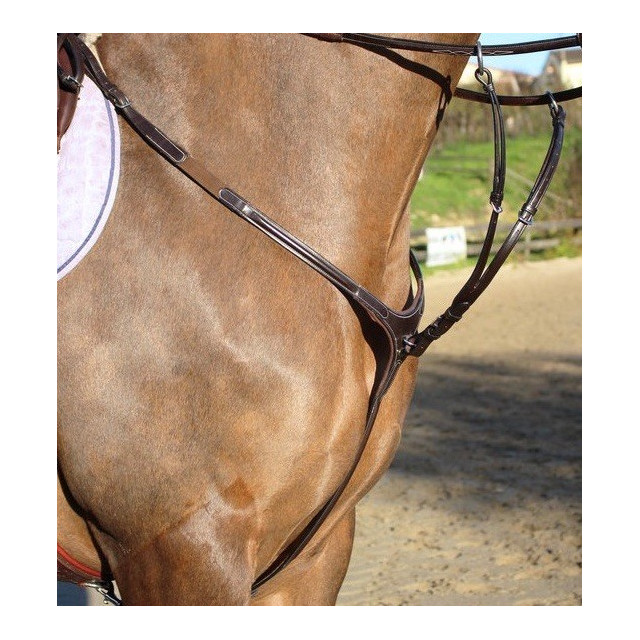 Collier de chasse élastique