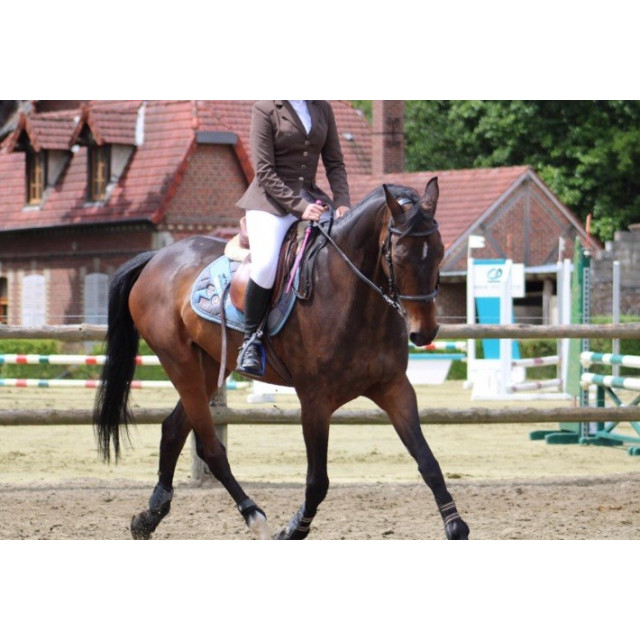 Veste de concours hagg taille 34