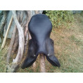 Selle obstacle Forestier