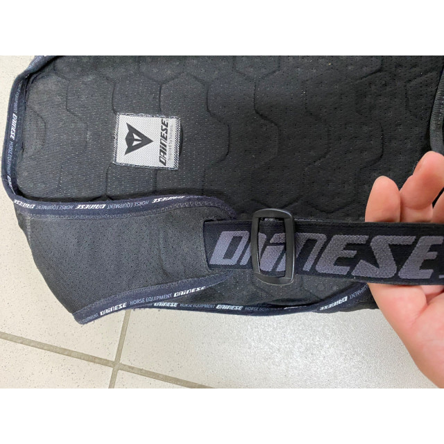 Protège dos Dainese
