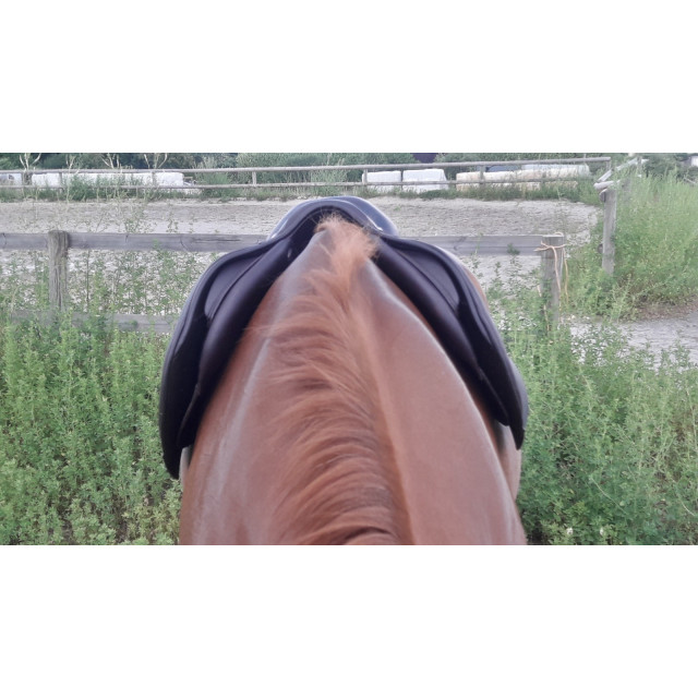 Selle CWD SE03 2017